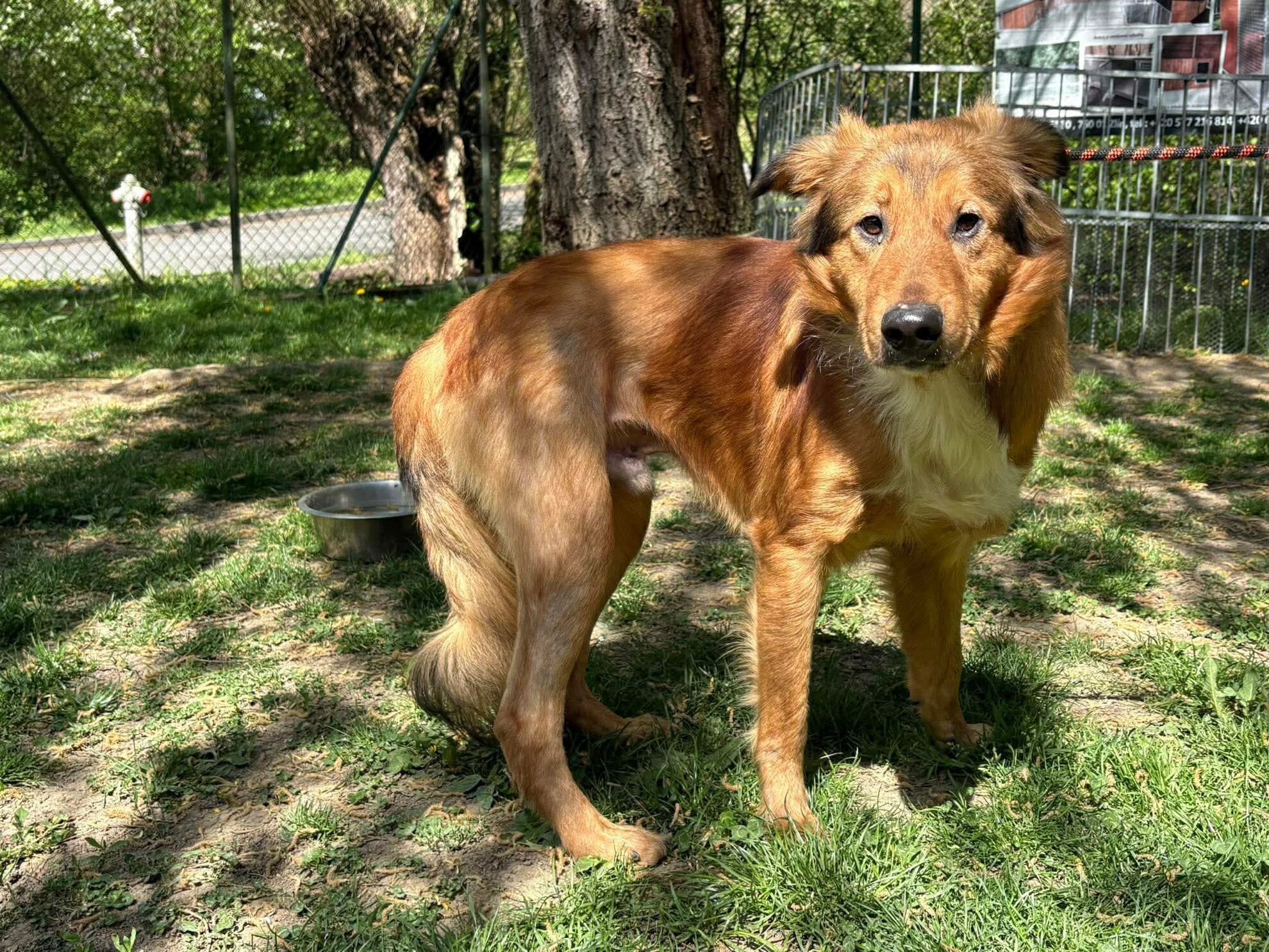 982812f031d14e7f49e1c216819eef51 (2)